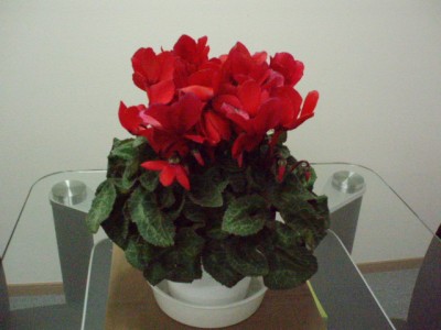 pc030405
