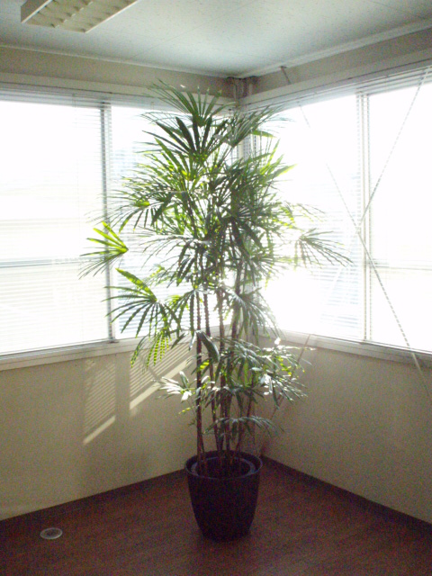 pc0404074 pc0404074