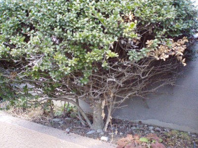 p2060320