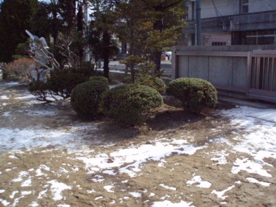 p2190345