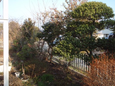 p31503361