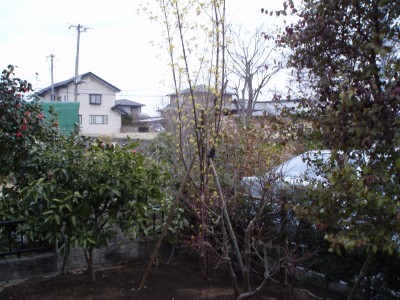 p3290105