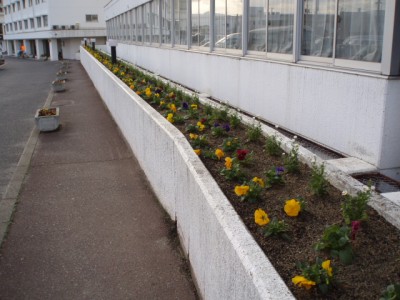 p3230014