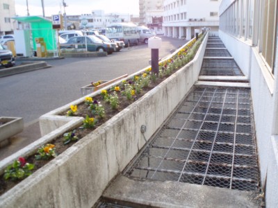 p3230018