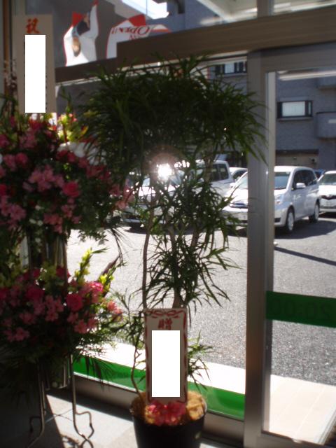 p3290006 p3290006
