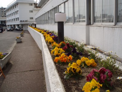 p4240111