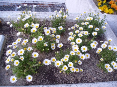 p5010125