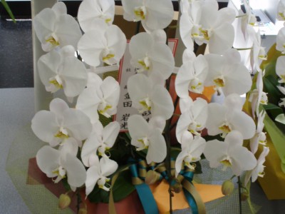 p7260033