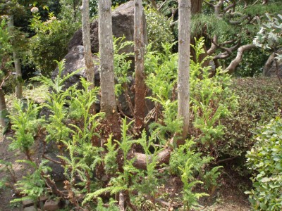 P8200001