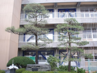 PA140253 PA140253