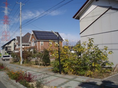 PA220263