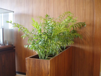 P2250002