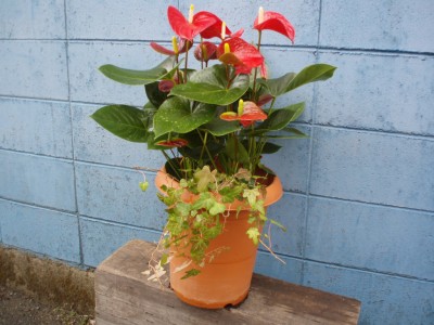 P3050015