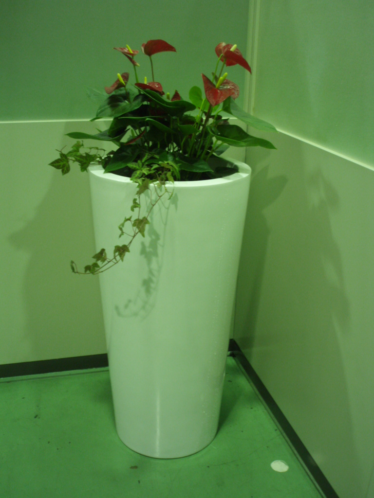 P3050021
