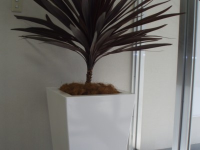 P3050024