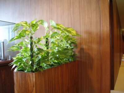 P7290043