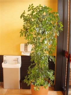 P6020011_R